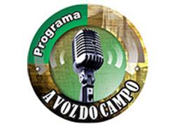 campo