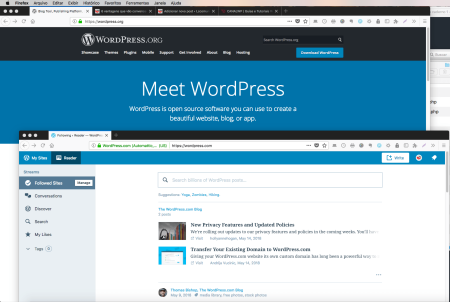 wordpress